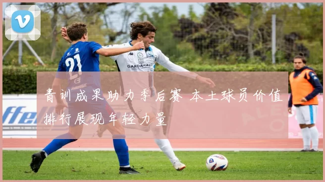 青训成果助力季后赛 本土球员价值排行展现年轻力量